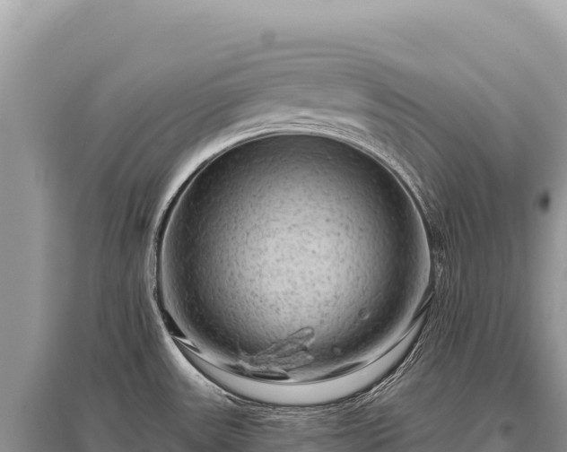X0000096191531200801251228