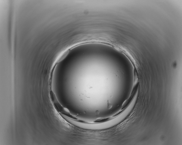 X0000096191532200801251228