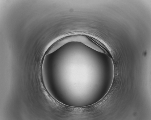X0000096191534200801251228
