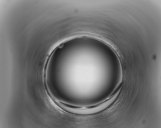 X0000096191535200801251228