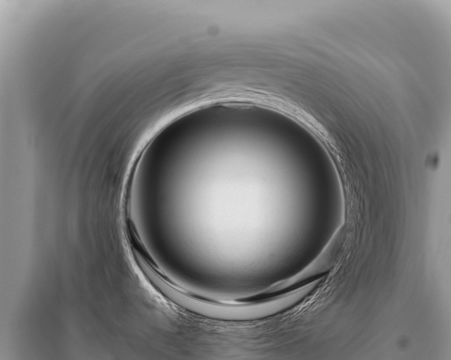 X0000096191536200801251228