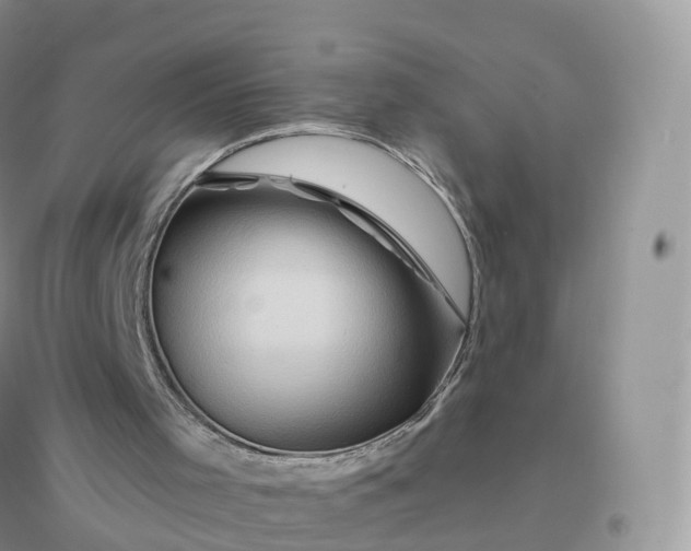 X0000096190001200802011417