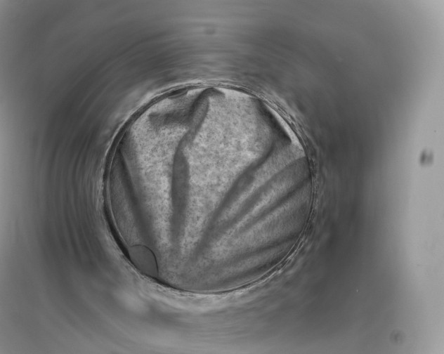 X0000096190002200802011417