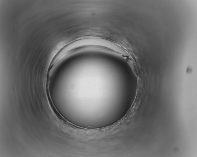 X0000096190003200802011417