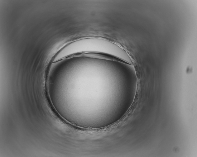 X0000096190005200802011417