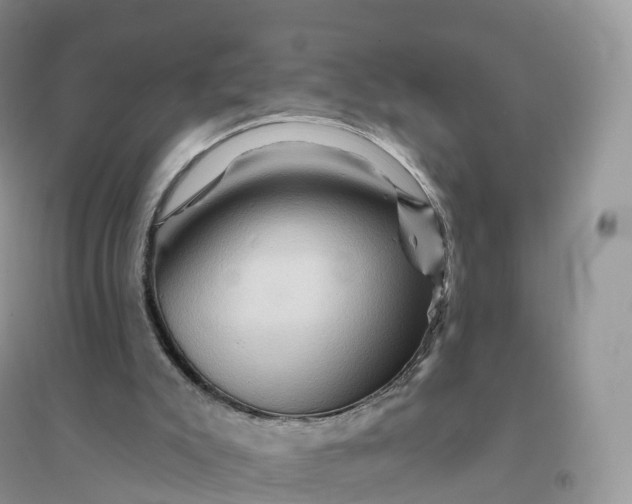 X0000096190007200802011417