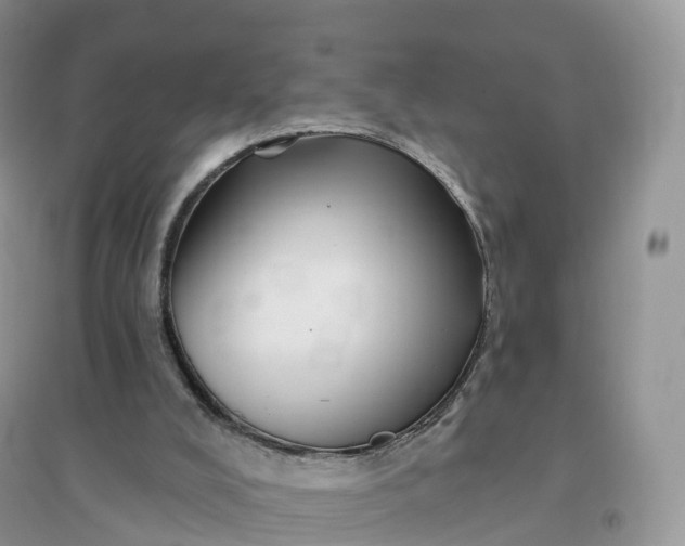 X0000096190008200802011417