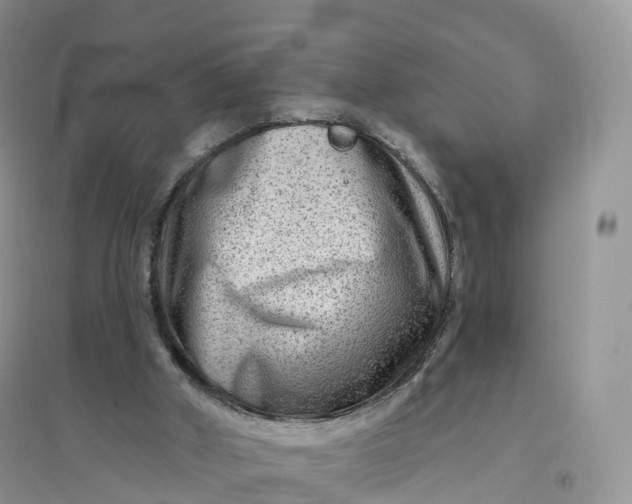 X0000096190010200802011417