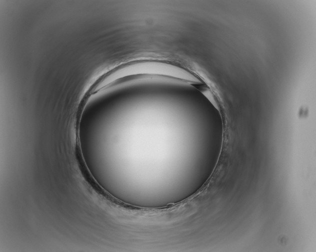 X0000096190011200802011417