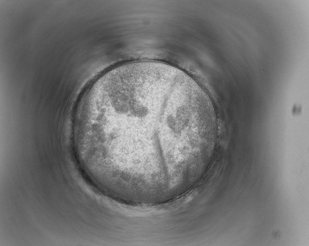 X0000096190012200802011417