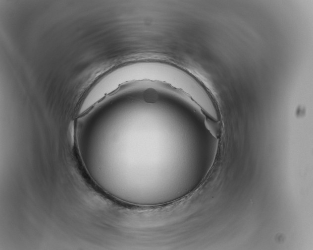 X0000096190013200802011417