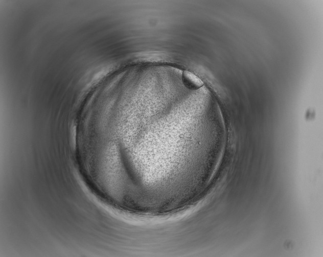 X0000096190014200802011417