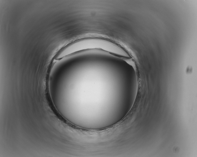 X0000096190015200802011417