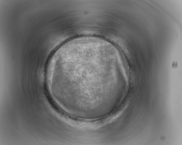 X0000096190016200802011417