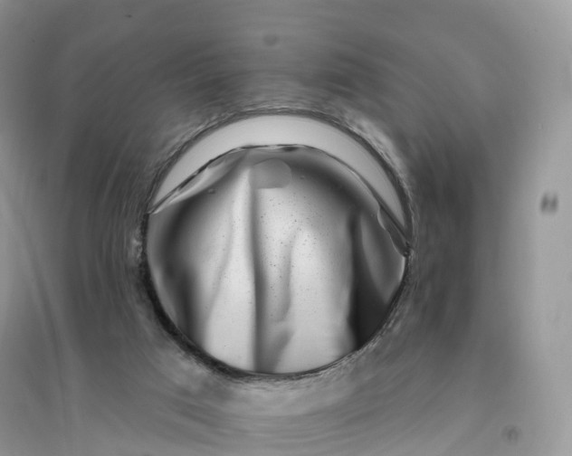 X0000096190017200802011417