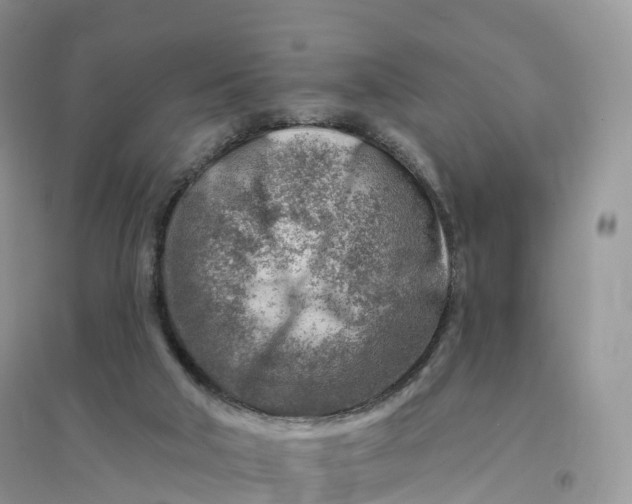 X0000096190018200802011417