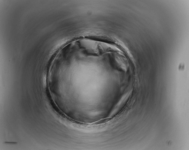 X0000096190019200802011417