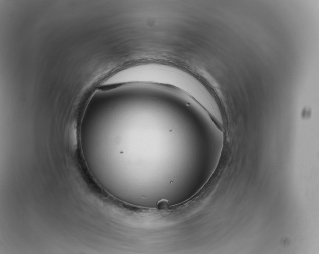 X0000096190020200802011417