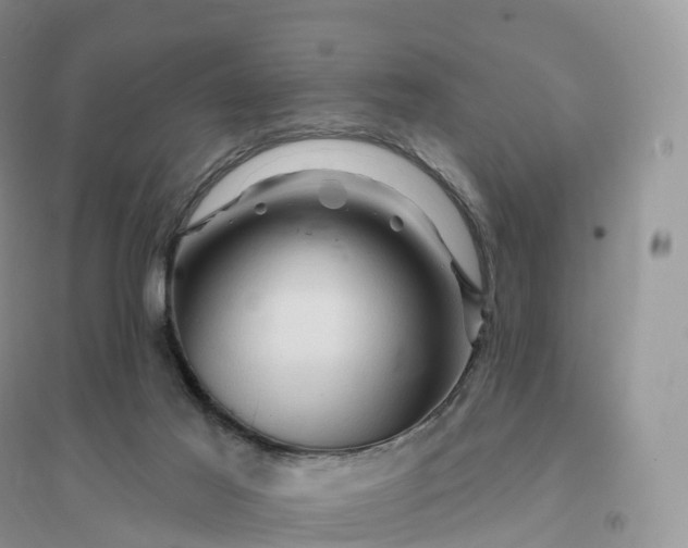 X0000096190021200802011417