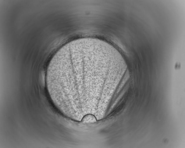 X0000096190022200802011417