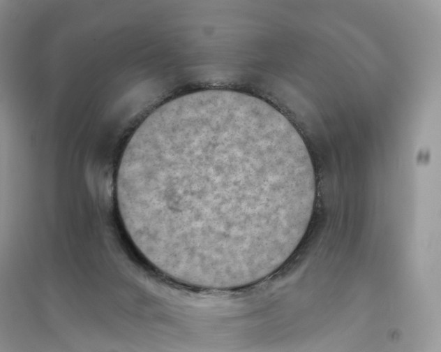 X0000096190024200802011417