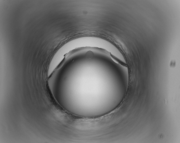 X0000096190025200802011417