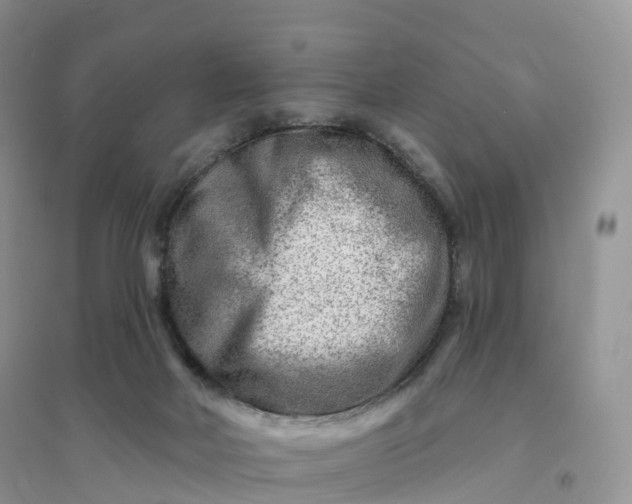 X0000096190026200802011417