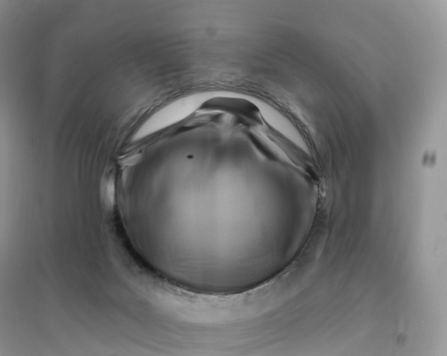 X0000096190027200802011417