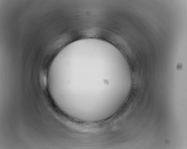 X0000096190028200802011417