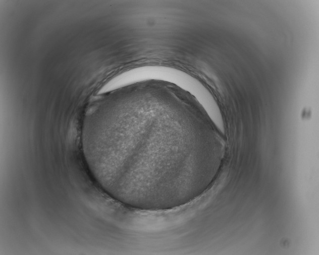 X0000096190029200802011417