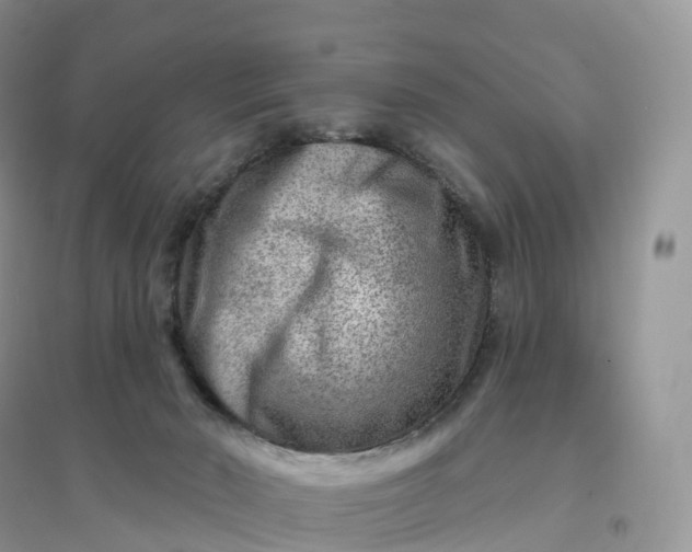 X0000096190030200802011417