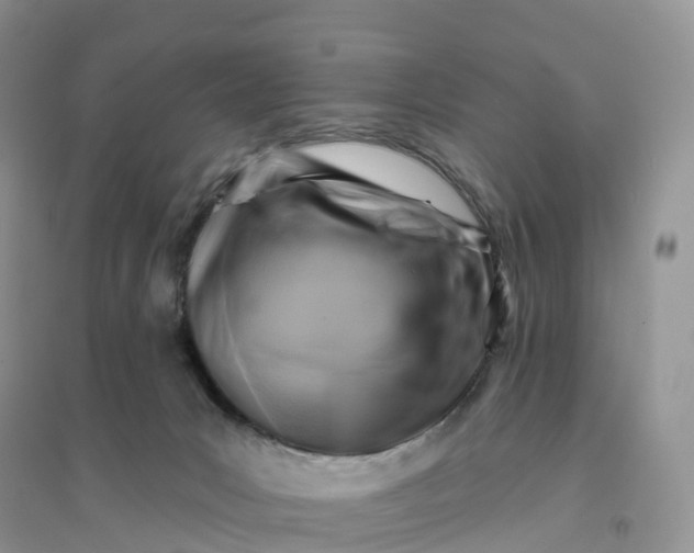 X0000096190031200802011417