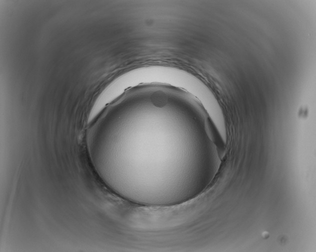 X0000096190033200802011417