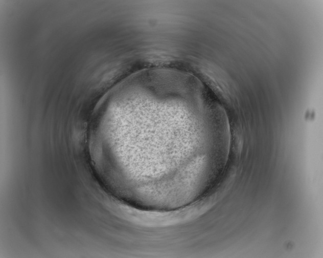 X0000096190034200802011417