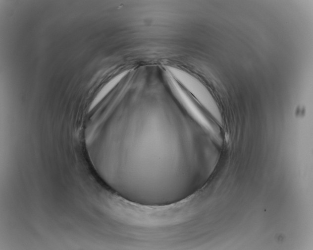 X0000096190035200802011417