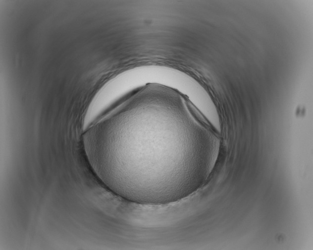 X0000096190037200802011417