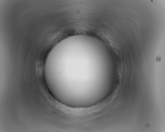 X0000096190038200802011417