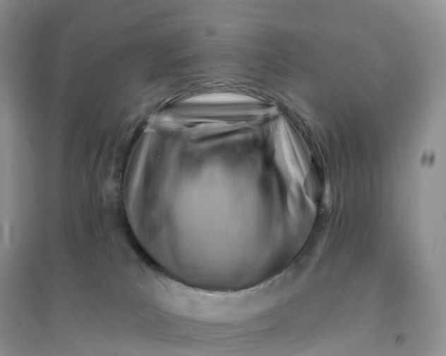 X0000096190039200802011417