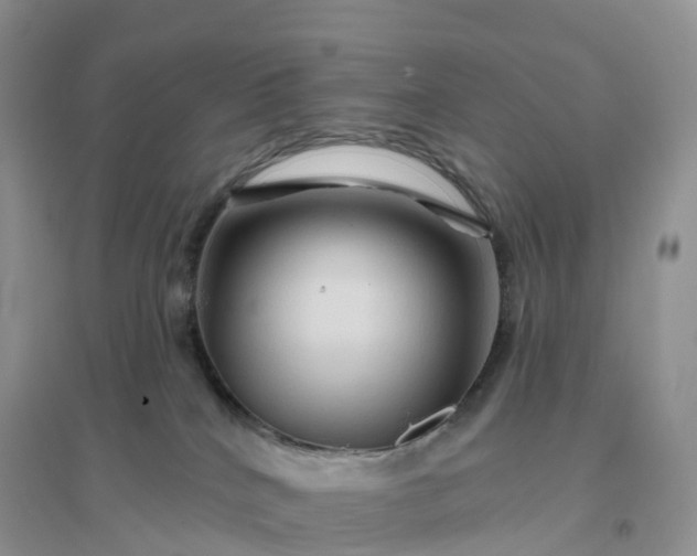 X0000096190040200802011417