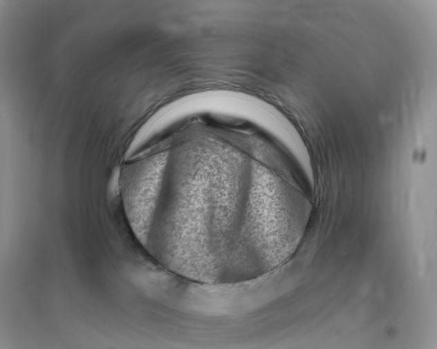 X0000096190041200802011417