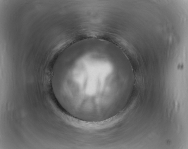 X0000096190043200802011417