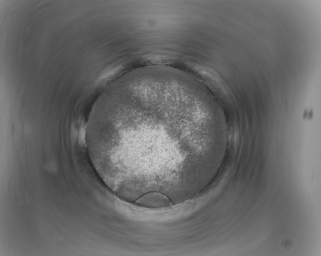 X0000096190046200802011416