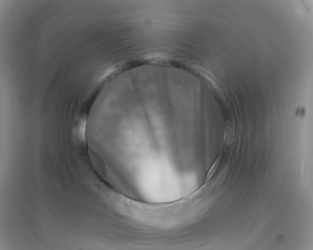 X0000096190047200802011416