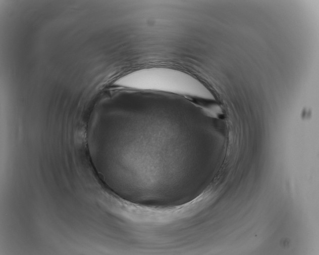 X0000096190048200802011416