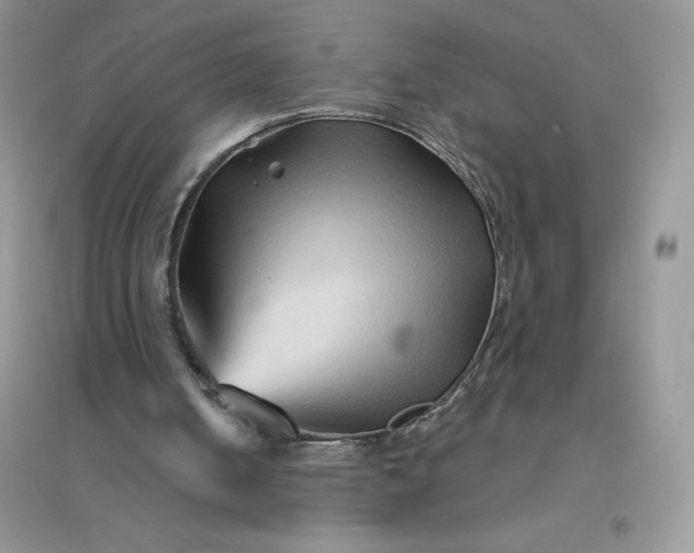 X0000096190050200802011416