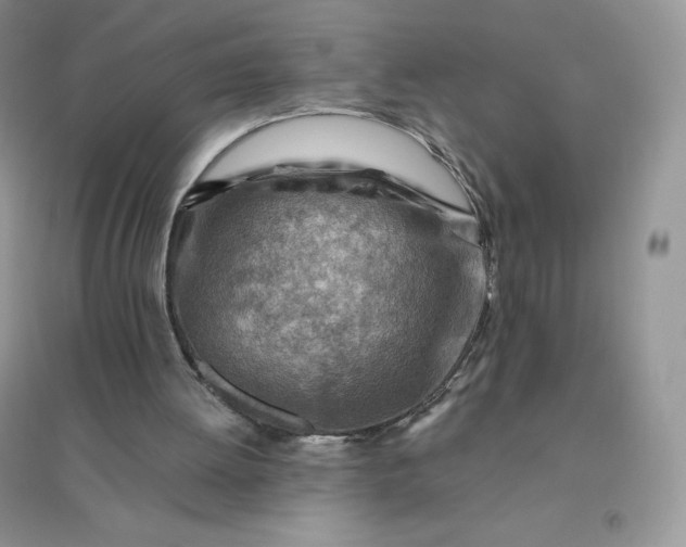 X0000096190052200802011416