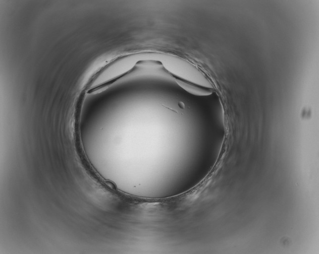 X0000096190054200802011416