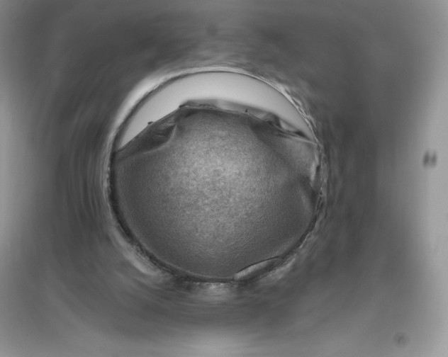 X0000096190056200802011416