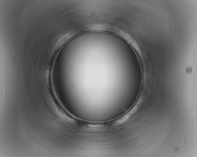 X0000096190057200802011416