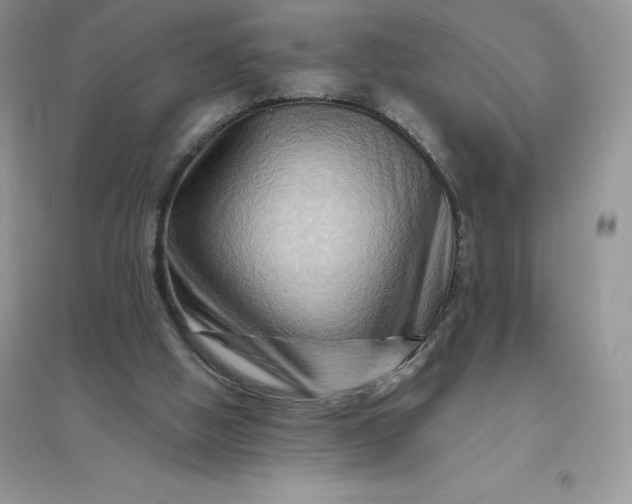 X0000096190058200802011416